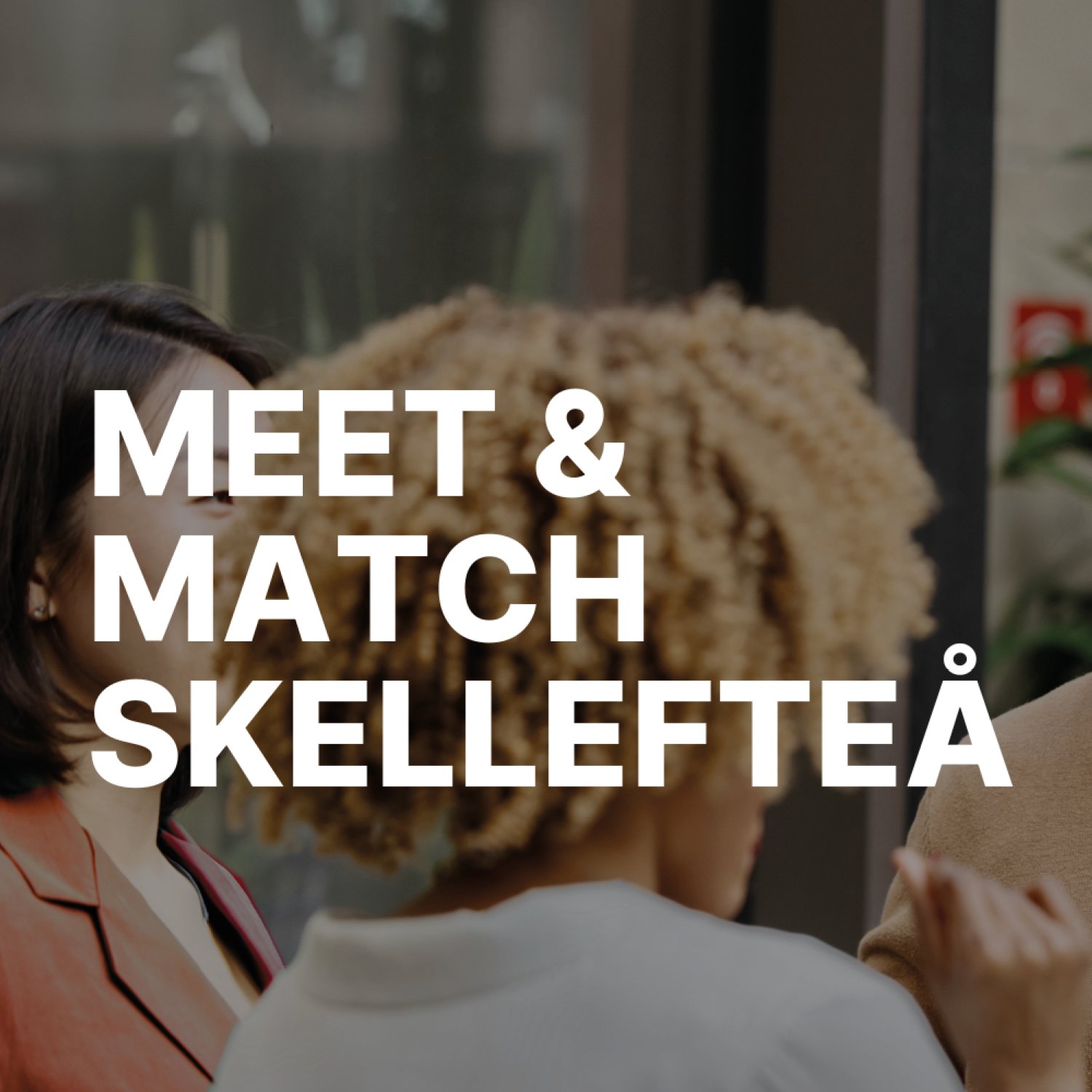 Bild på flera personer som pratar med varandra och text som information om rekryteringseventet Meet and Match i Skellefteå.