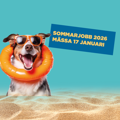 En hund med orangea solglasögon och badring samt texten "Sommarjobb 2026, mässa 17 januari".
