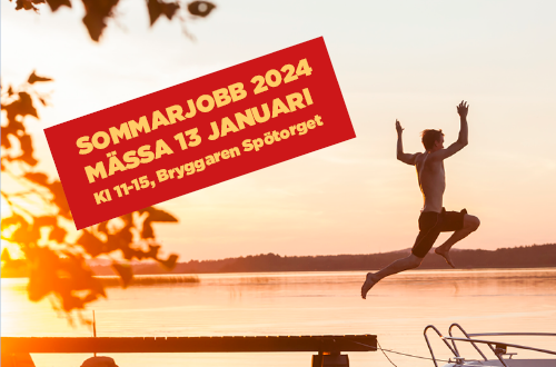 Kille som hoppar från brygga i solnedgång och texten Sommarjobb 2025, mässa 18 januari klockan 11 till 14 Bryggaren Spötorget. 