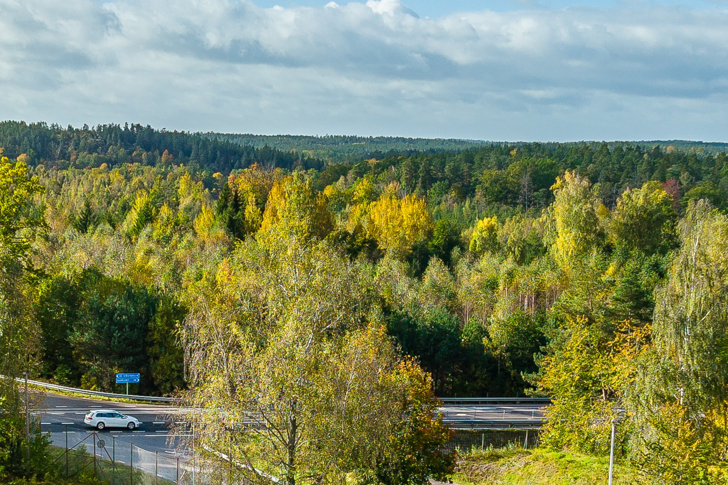 Skogen runt Almvik.