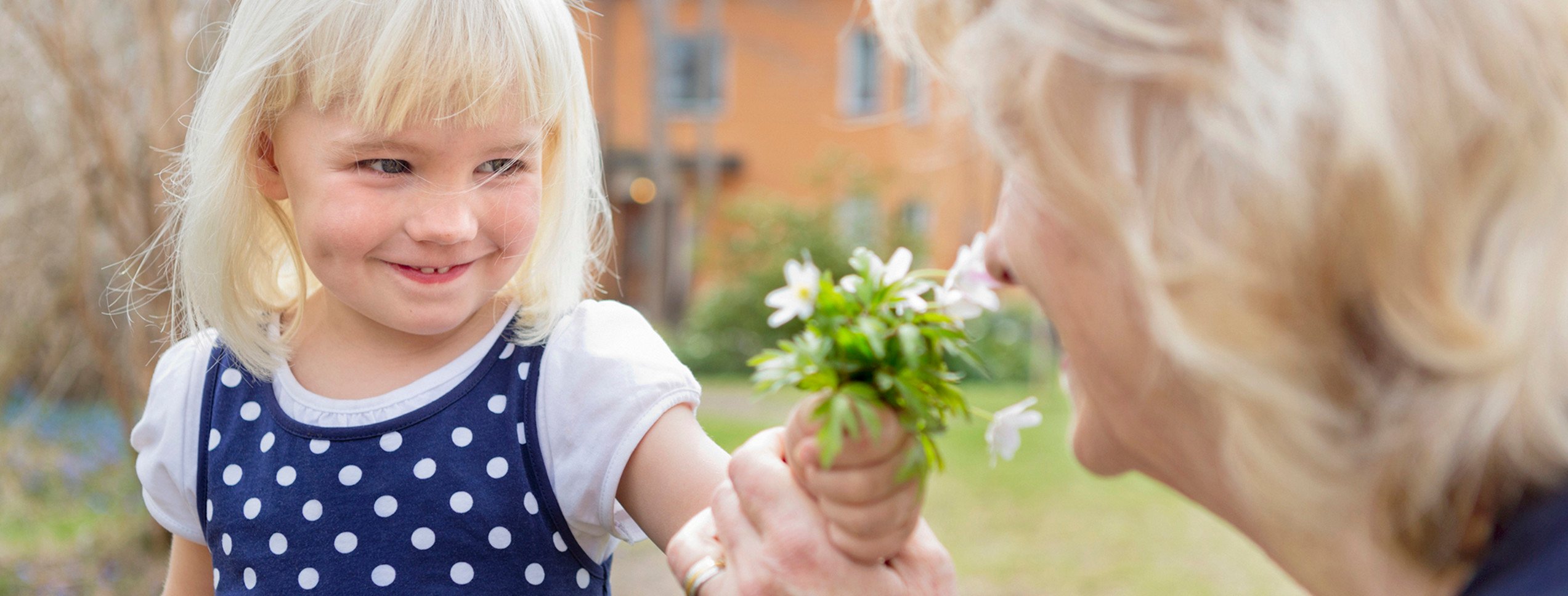 Barn som ger vitsippor till sin farmor.