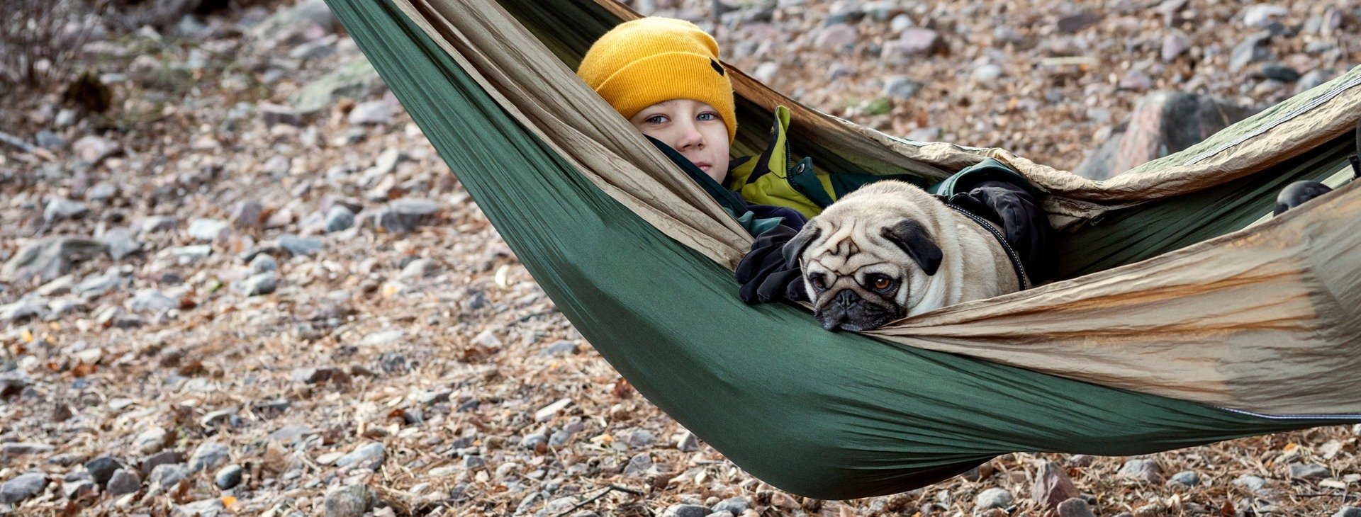 Barn och hund som ligger i hängmatta i skogen. 