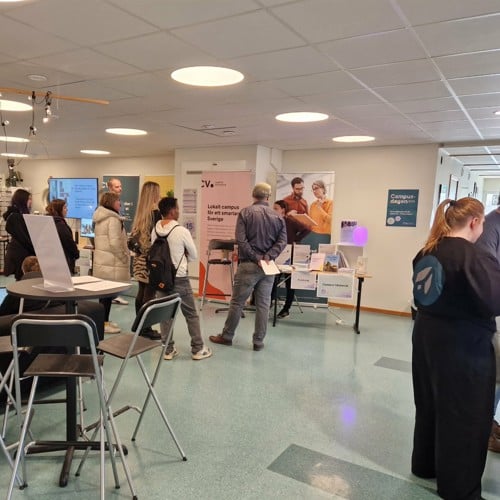 Fyra kvinnor samtalar.