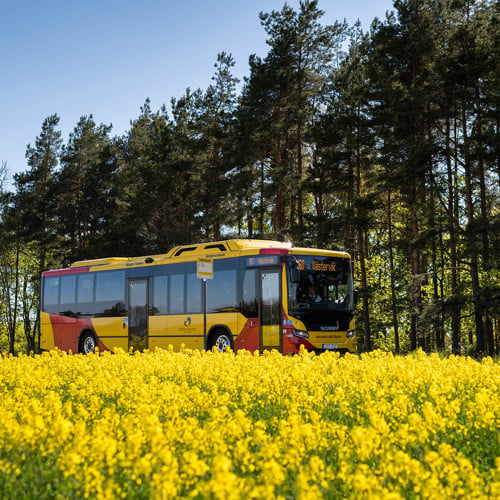 buss från Kalmar länstrafik som kör bakom ett rapsfält