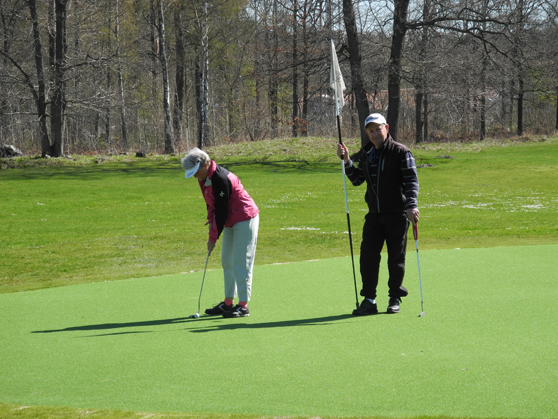 bild på golfgreen med konstgräs