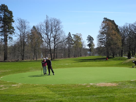 bild på golfgreen med konstgräs