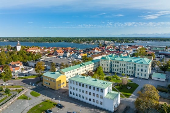 bild på Ellen Keyskolan från luften