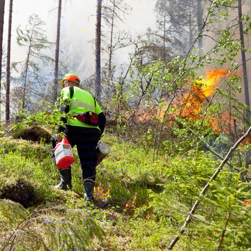 bild på person nära en skogsbrand
