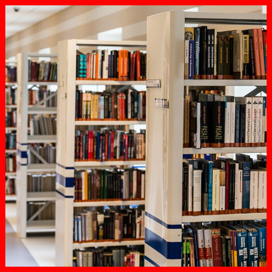 bild på hyllor i bibliotek i en röd ram