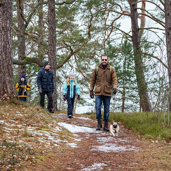familj som går på skogsväg scandinav.se