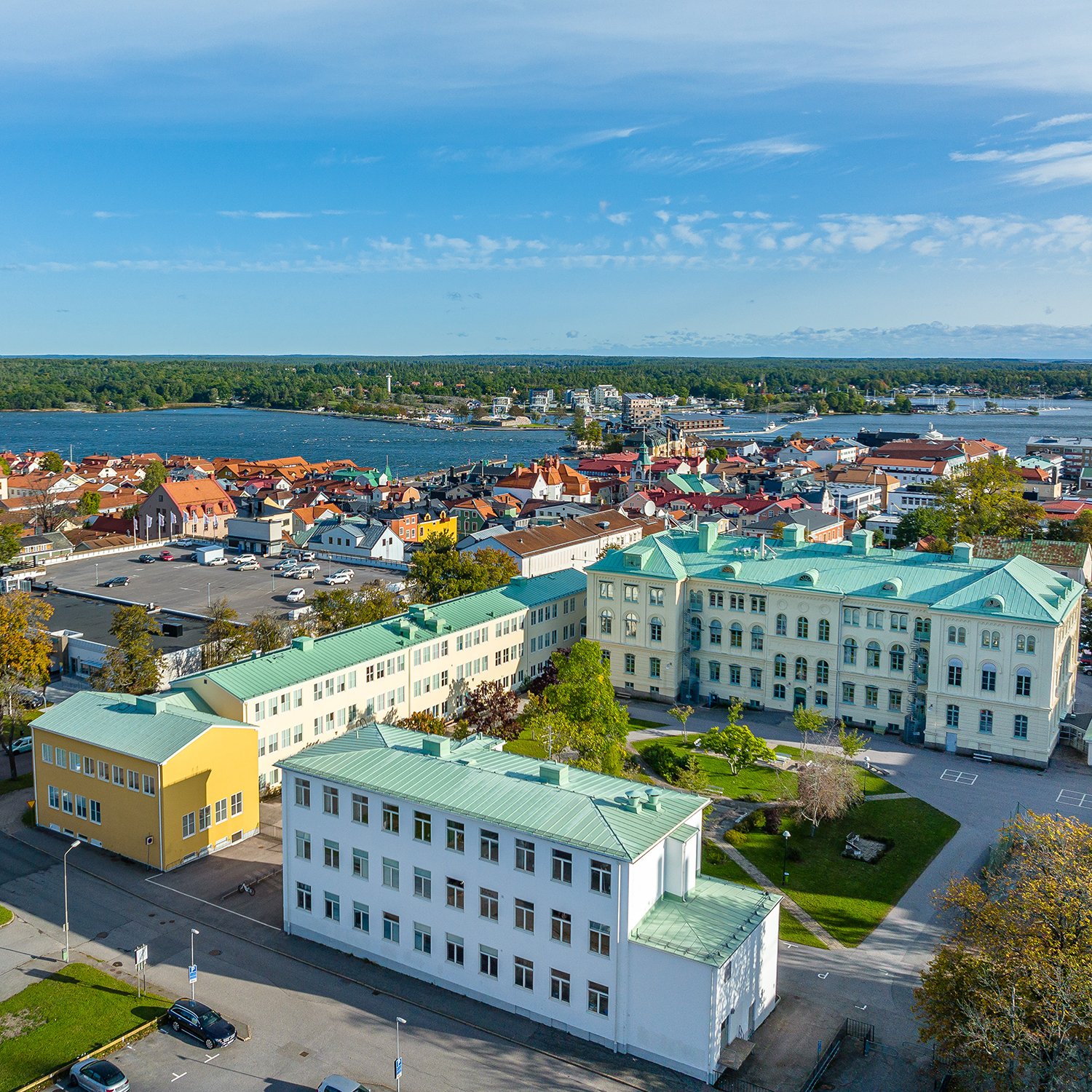 Bild på Ellen Keyskolan från luften